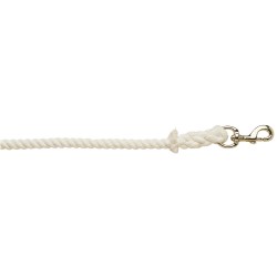 Economy Bull Lead Rope