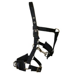 Nylon Lunge Cavesson Black Shetland