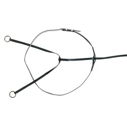 Horse Sense Race Martingale