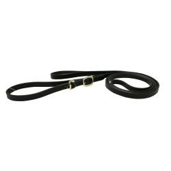 Jeremy & Lord In-Hand Lead