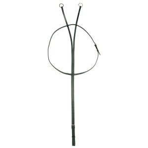 Jeremy & Lord Running Martingale