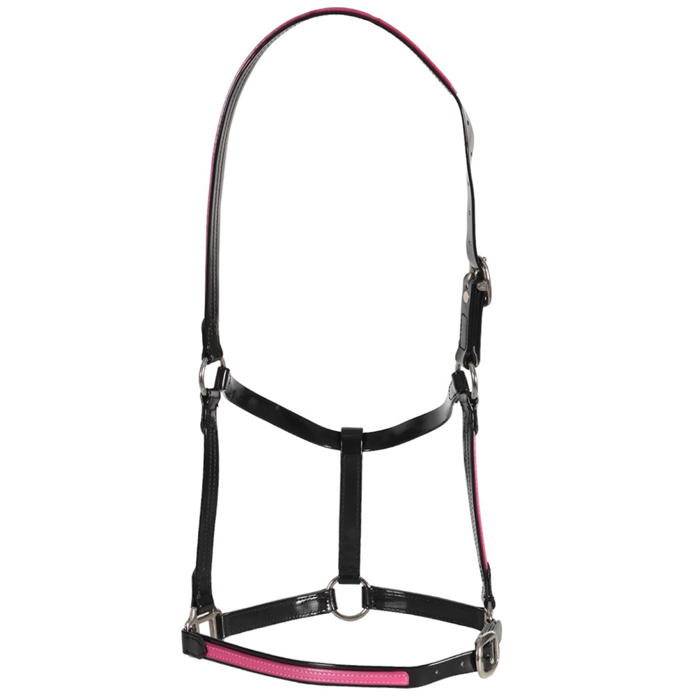 Pvc Halters Product Categories - Saddlery Trading