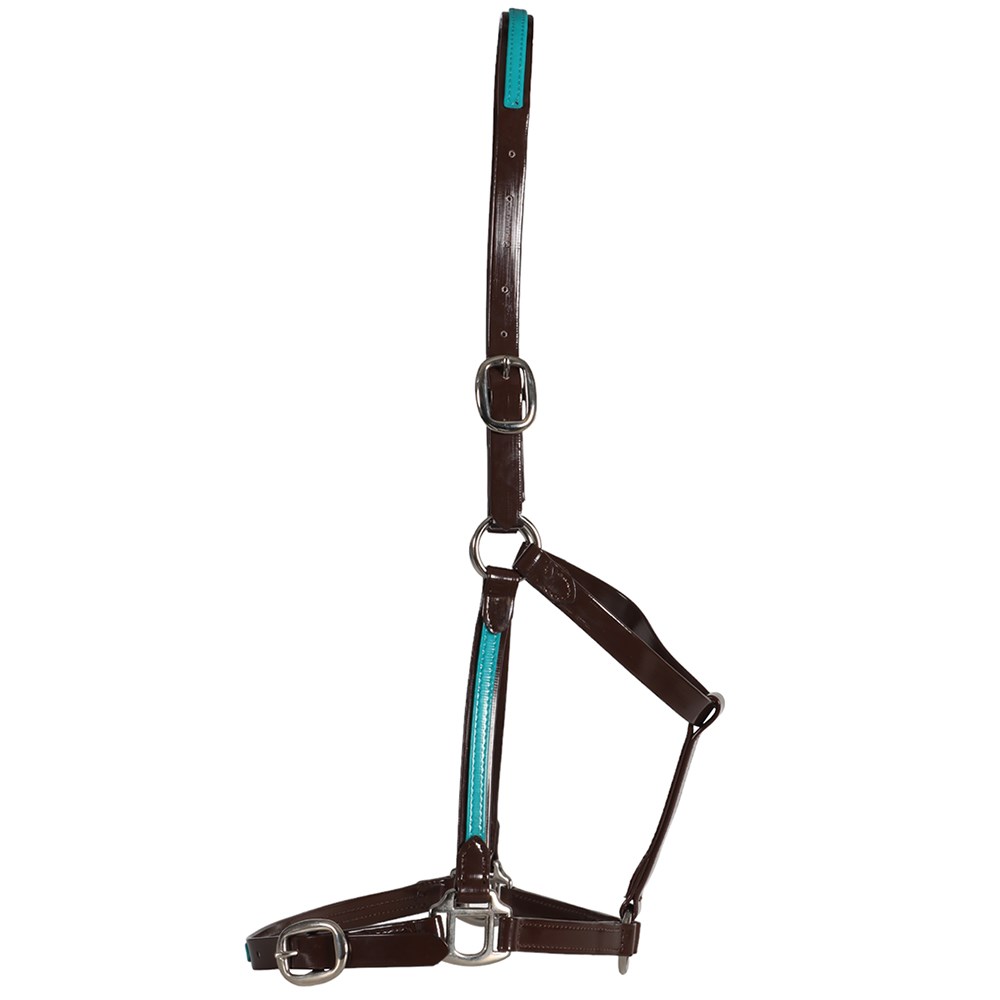 Pvc Halters Product Categories - Saddlery Trading