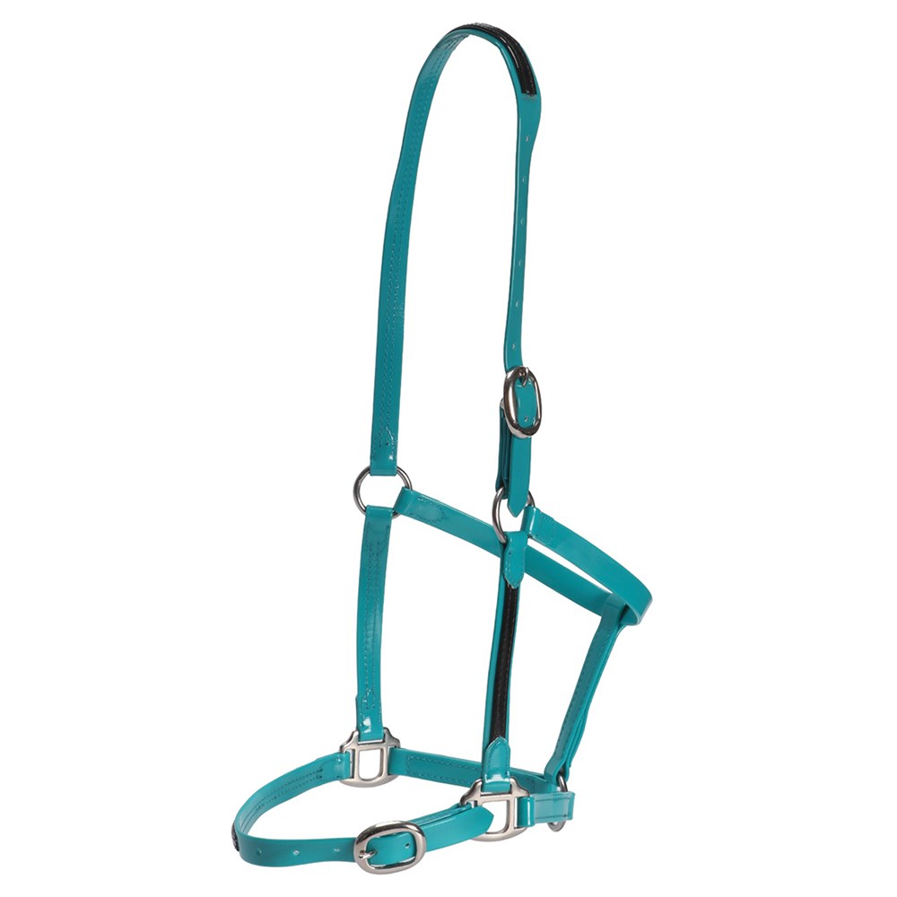 Pvc Halters Product Categories - Saddlery Trading