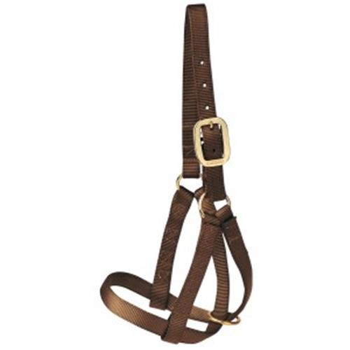 Nylon Cattle Halter Black Bull