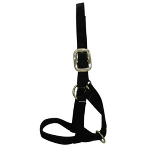 Nylon Cattle Halter Black Bull