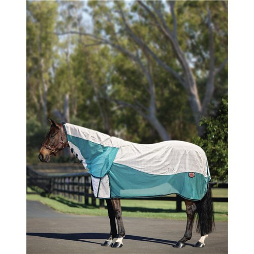 RUG3650-WH-TU-01
