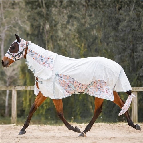 RUG7475-DD-5