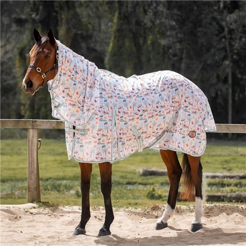 RUG7545-DD-2