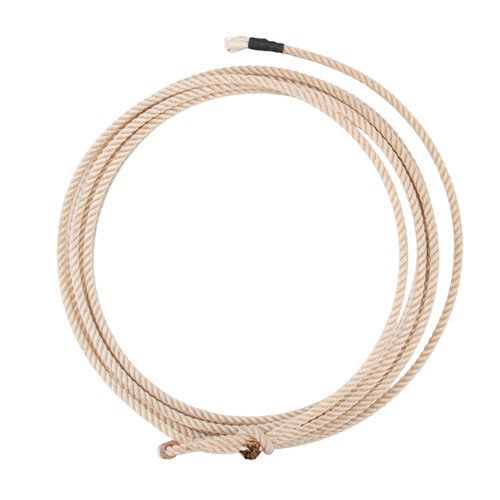 WES4010-01