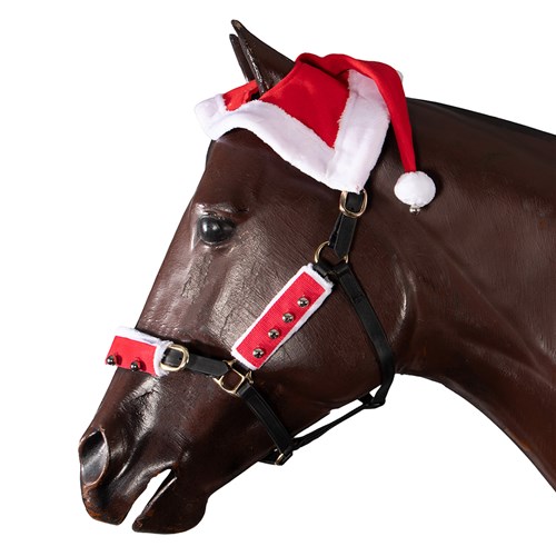XMAS-500-01