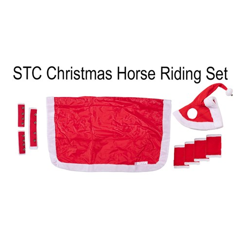 XMAS-500-05