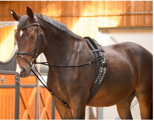 Product Categories - Saddlery Trading