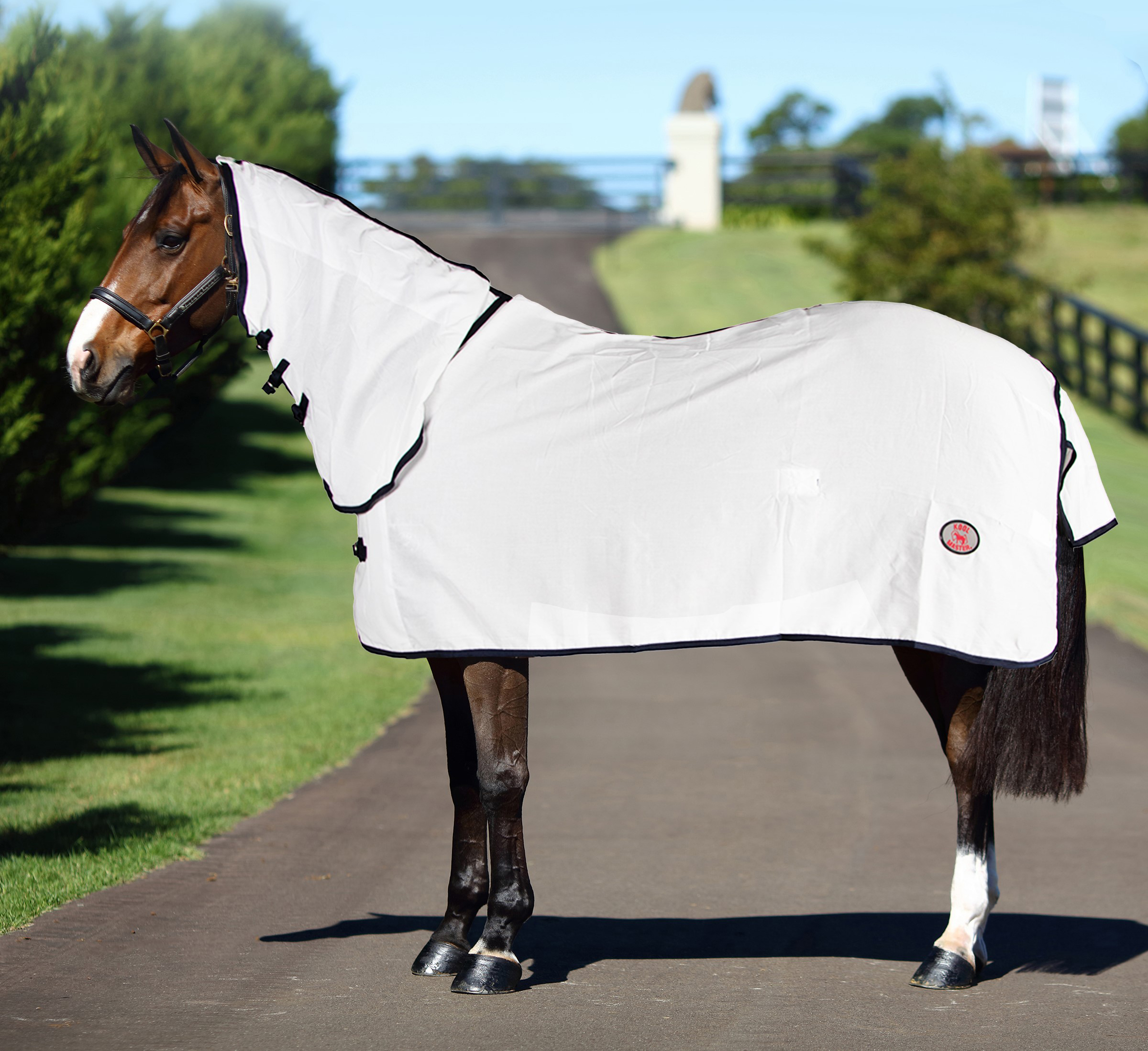 Flag Rugs Product Categories - Saddlery Trading