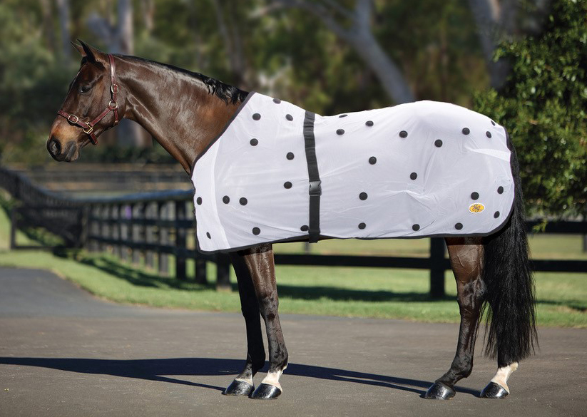 Product Categories Saddlery Trading