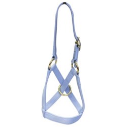 Goat/Alpaca Halter & Lead Set Baby Blue Small