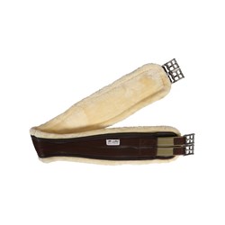 GTH455-120-BR-01