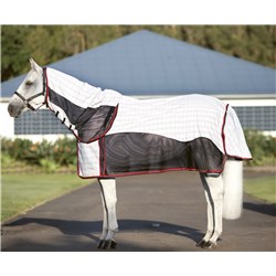 RUG3650