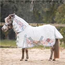 RUG7475-DD-M-1