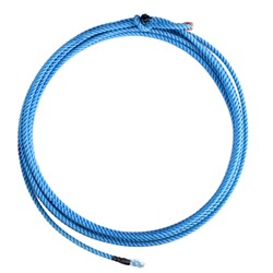 WES4025