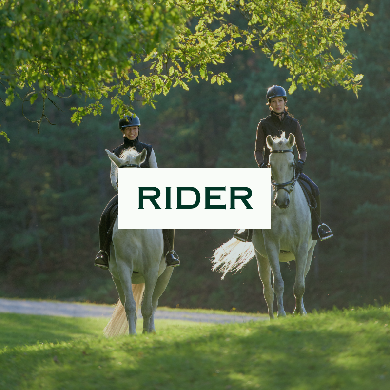 Stc Rider About STC - Saddlery Trading