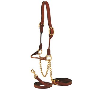 Halters & Leads