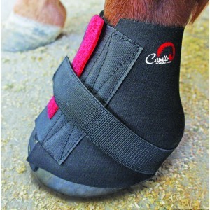 Hoof Boot Accessories