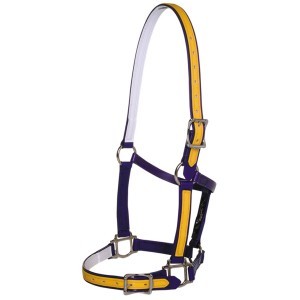 Synthetic Halters