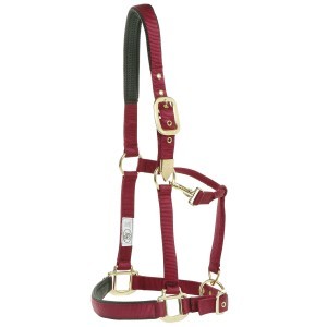 Halters & Leads