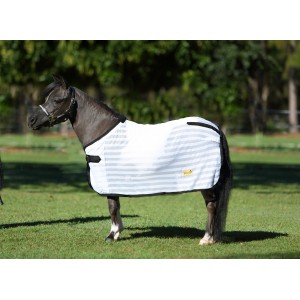 Mini Horse & Pony Products