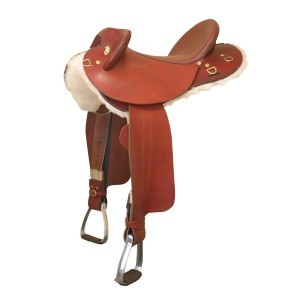 Saddles & Accessories