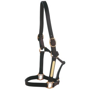 Leather Halters