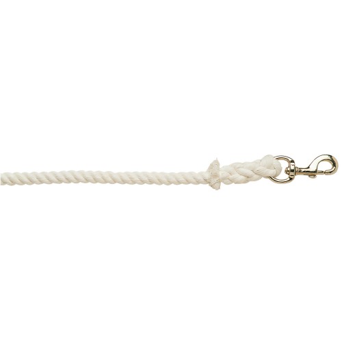 Economy Bull Lead Rope
