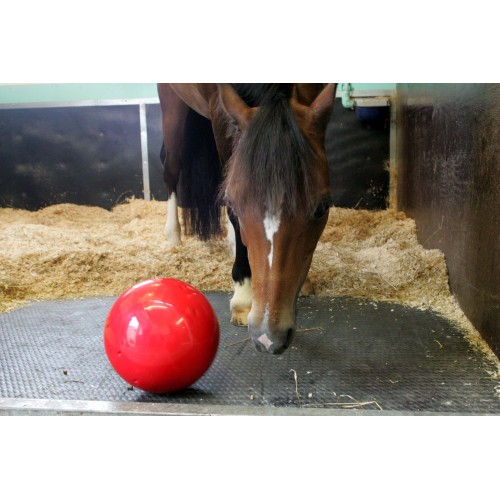 Likit Snak-a-Ball for Horse Treats