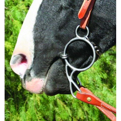 Professional's Choice Equisential Wonder Bits