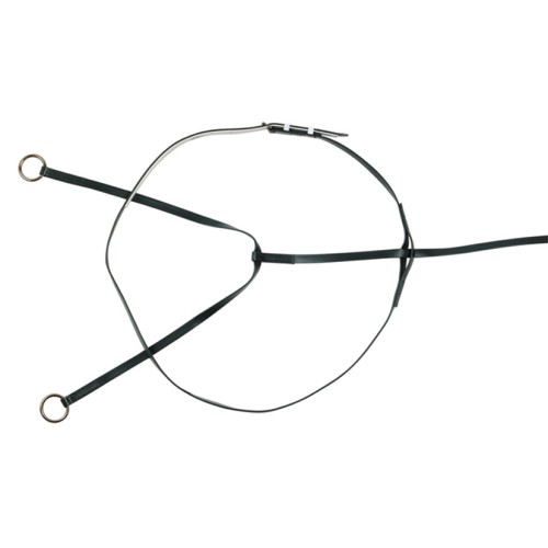 Horse Sense Race Martingale