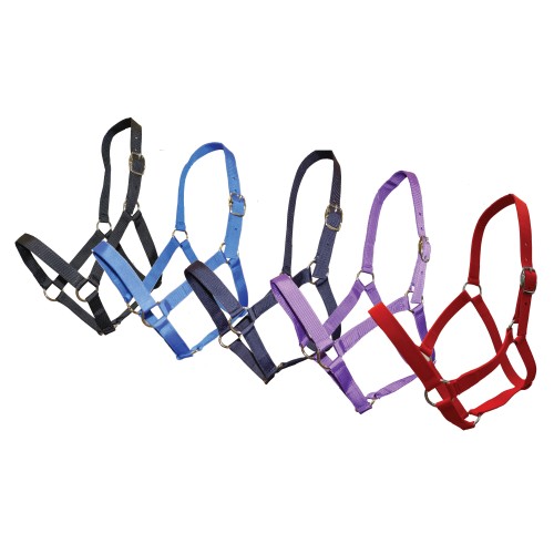 Stable Halter Pack   Full - 5 Pack Halters Assorted