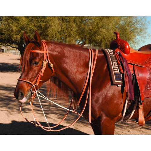 Professional's Choice AD German Martingale - Split Rein